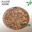 Anise