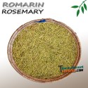 Rosemary