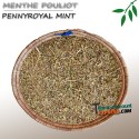 Pennyroyal mint