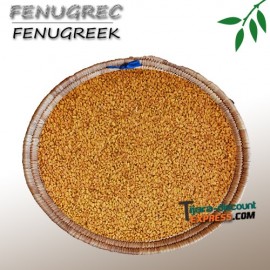 Fenugreek