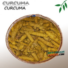 Curcuma