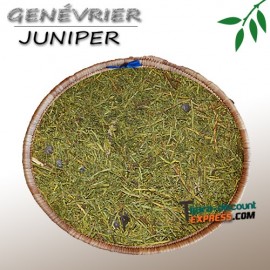 Juniper