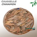 Cinnamon