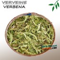 Verveine