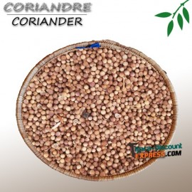 Coriander