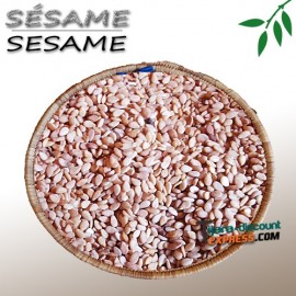 Sesame