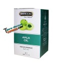 Huile d'amla (30 ml)