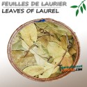 Leaves of laurel