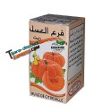 Huile de citrouille (30 ml)