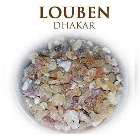Louben Dhakar