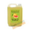 Body massage oil argan oil and grapefruit in bulk