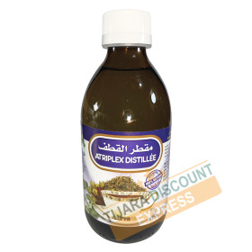 Atriplex halimus distillé / lot de 6