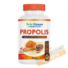 Propolis bio - 60 unités (300 mg)