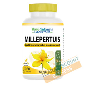 St. John's wort plant - 60 units
