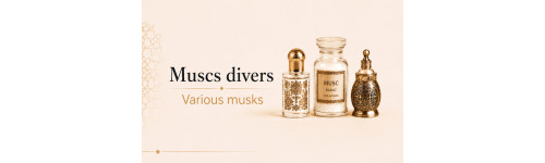 Muscs divers